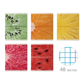 Тетрадь общая Альт®
А5 (165 х 203 мм)
"EXOTIC FRUITS" 48 л., клетка
Арт. 7-48-1359
обложка в ассортименте