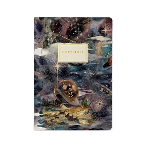 Тетрадь общая BrunoVisconti®
А5 (147 х 210 мм)
"СКАЗОЧНАЯ ГАЛАКТИКА" 40 л., клетка
Арт. 7-40-001/149